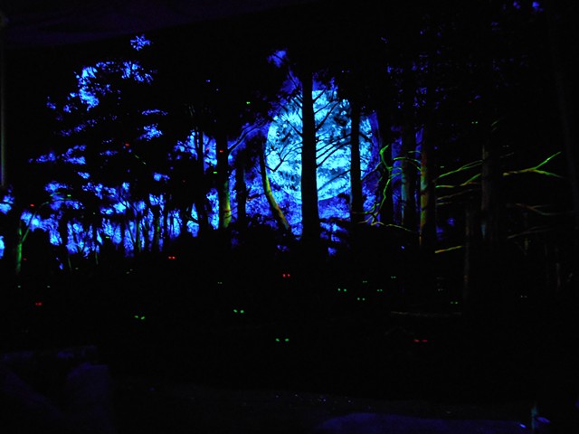Forest Mural, black light paints (over acrylic on canvas)