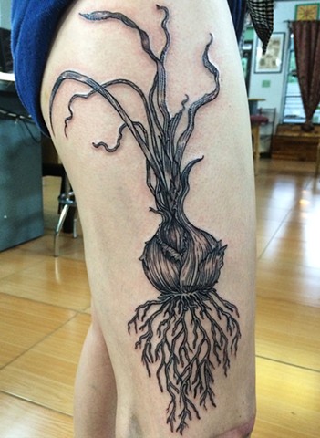onion tattoo, food tattoo, botanical tattoo, root vegetable tattoo, root tattoo, roots, line tattoo, lifework tattoo, blackwork tattoos, leta gray, leta gray tattoo, leta botanical tattoo, etching tattoo