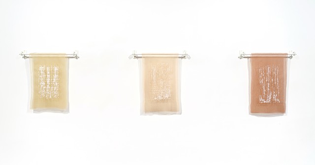 detail of Mississippi River Gorge "Moments" exhibition