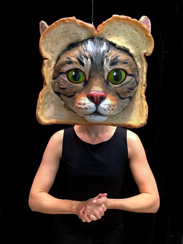 Toast Cat in the Studio