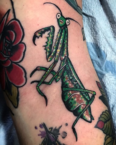Praying mantis tattoo Rob Junod Springfield Missouri legacy