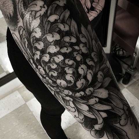 rob junod tattoo legacy sacramento japanese chrysanthemum