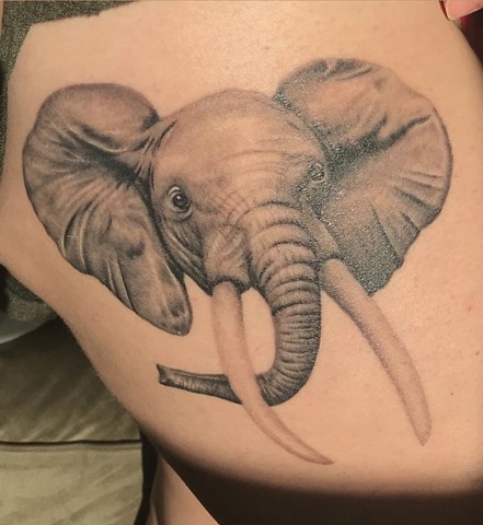 Elephant portrait (healed)