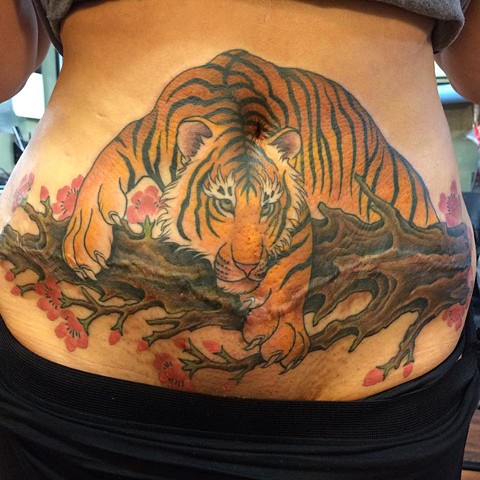 Tiger cover up Tummy Tuck scar