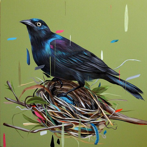 Grackle and Nest