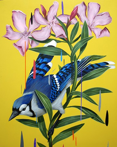 Blue Jay and Oleanders