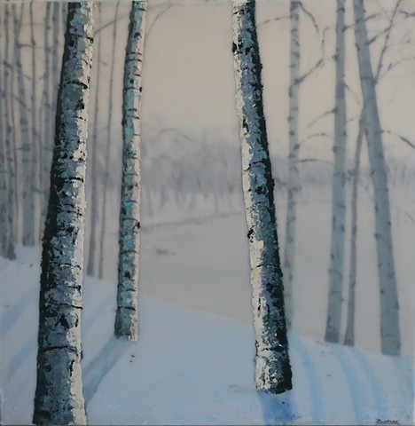 birches in winter overlooking a pond