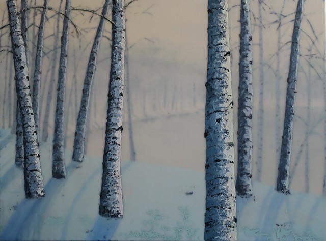 birch trees overlooking the pond in winter