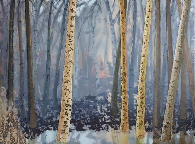 forest birches