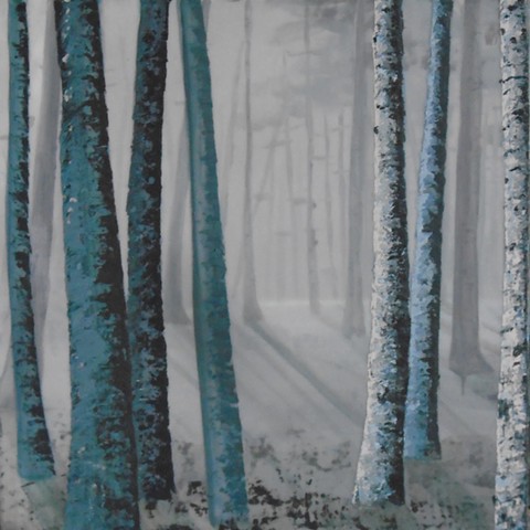 birch trees, view to a foggy interior