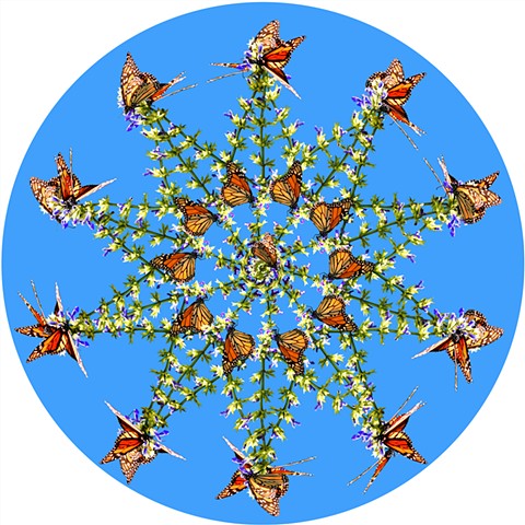 monarch 10 point star Mexico orange black green blue art by muffin sacred geometry