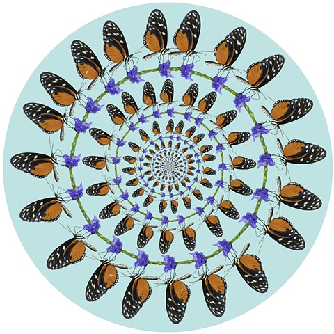 hecale longing butterfly circles purple orange black white art by muffin sacred geometry