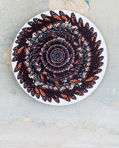 monarch butterfly repetition sacred geometry orange black white  green yellow art by muffin