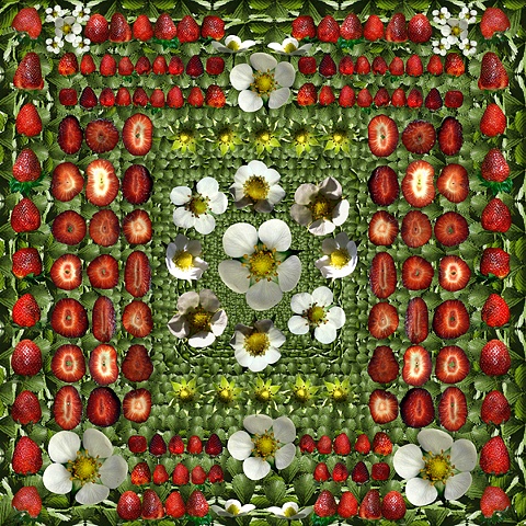 strawberry strawberries mandala healing medicine flowers blue white green leaves fruit slices