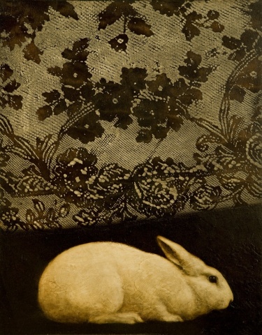 oil painting of rabbit with lace on dark wood panel by susan hall