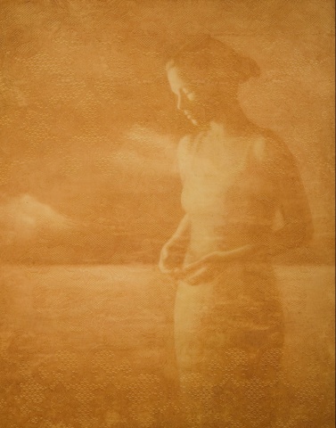 oil painting of a female figure in a landscape on a lace background by susan hall