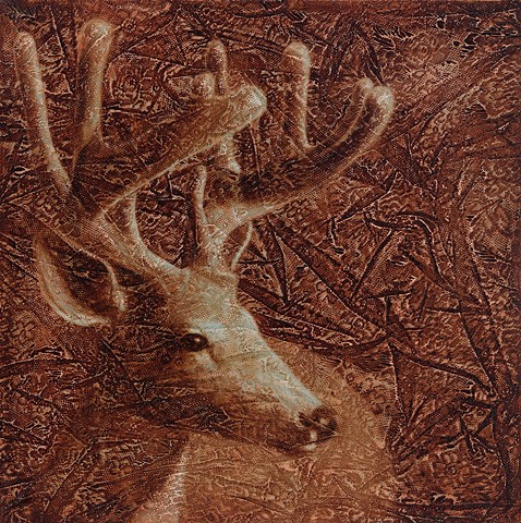 oil painting of a deer buck on lace background brown by susan hall