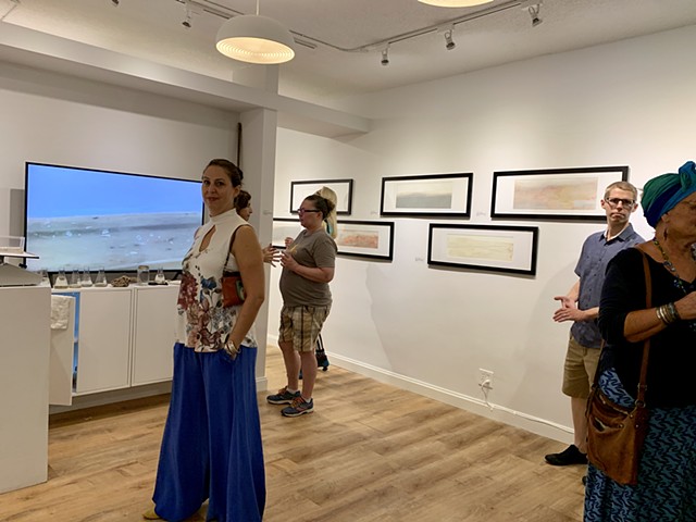 Trace Elements, October- November, 2019, two-person exhibition with Kenny Jensen, Urban Arts Gallery, St. Petersburg, FL