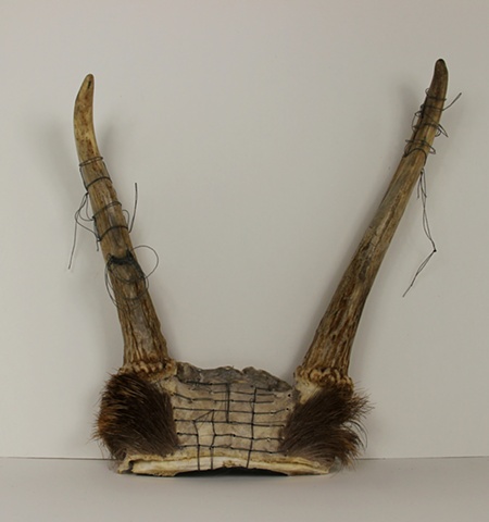 embroidered antlers