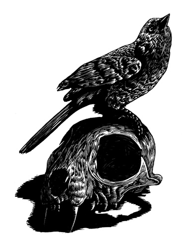 bird and cat skull relief engraving print printmaking providence hope raven crow 