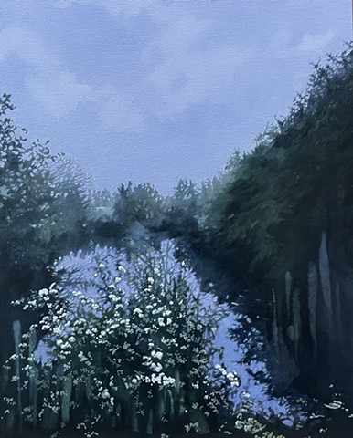 Walking with Nightingales