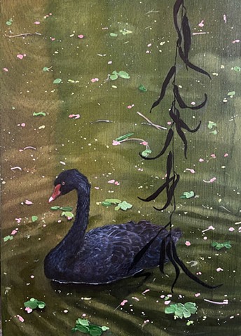 Black swan and falling blossom 