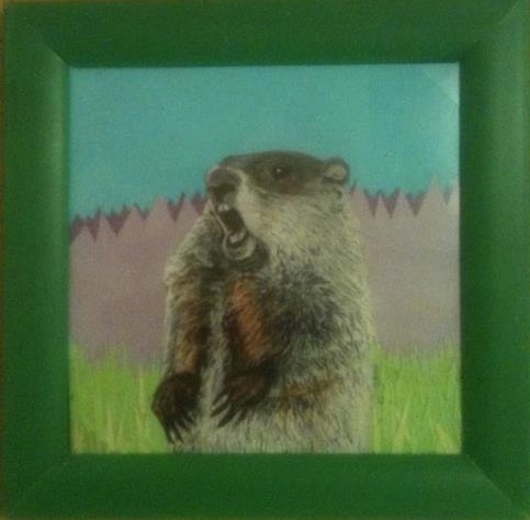 How much wood can a Woodchuck Chuck?