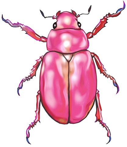 Pink Scarab for MT COAST
