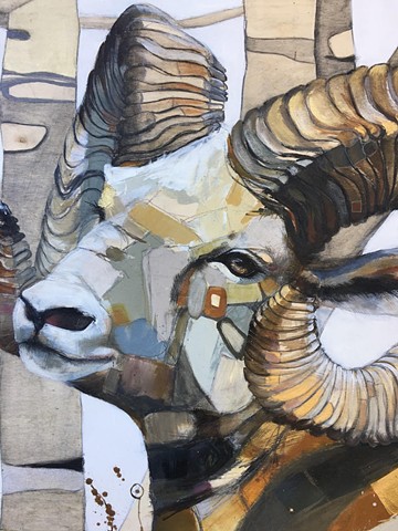 "The Honorable Ovis Canadensis, Bighorn Sheep, Ambassador of The Heart"