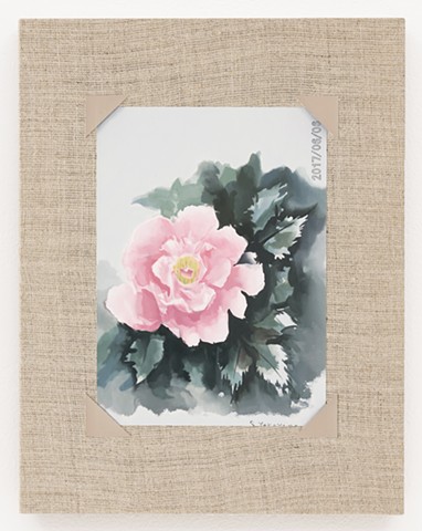 Watercolor of a Peony