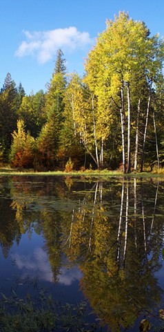 Autumn is mirrored in a pond below Crane Mountain near Ferndale, Montana.