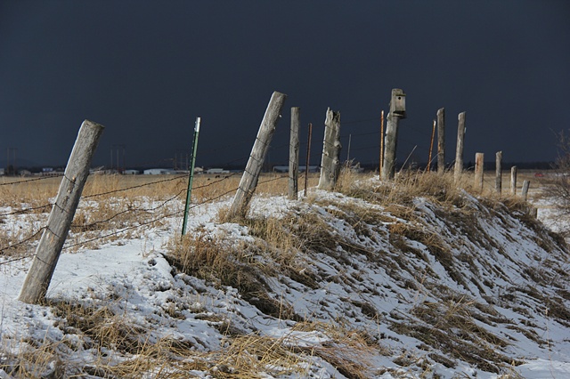 An old fence row along Somers Stage Road near Flathead Lake in northwest Montana.