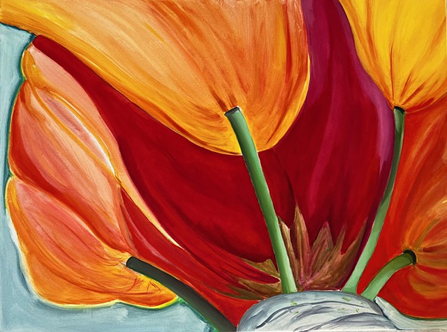 Tulipness 2 