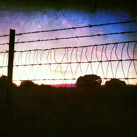 Colored Barbed Wire
