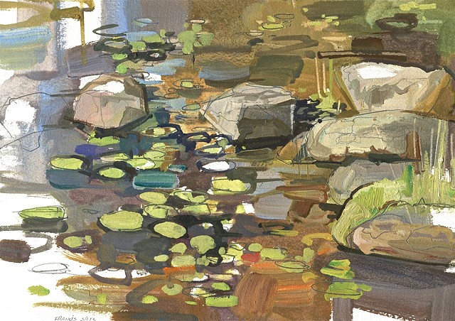 Lily pads and rocks