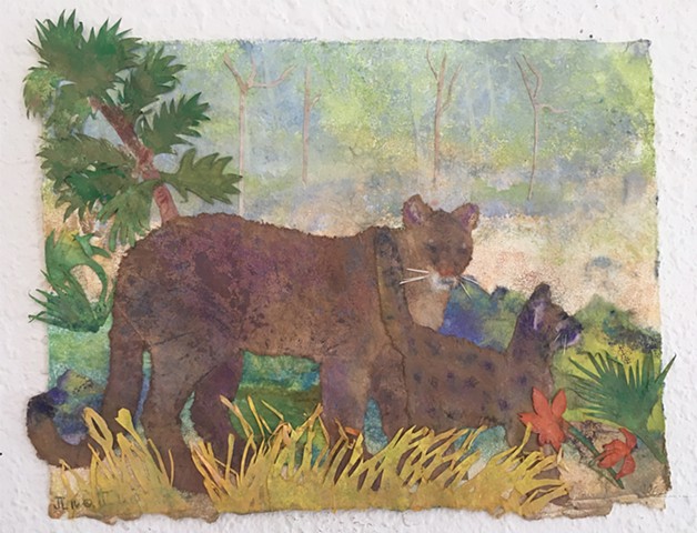"Florida Panther Mother and Cub"