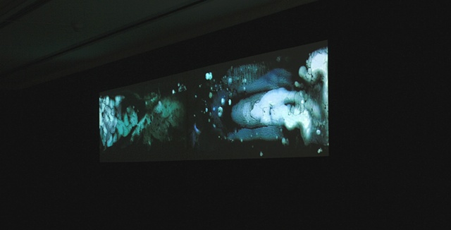 liamorty [Installation View 2]