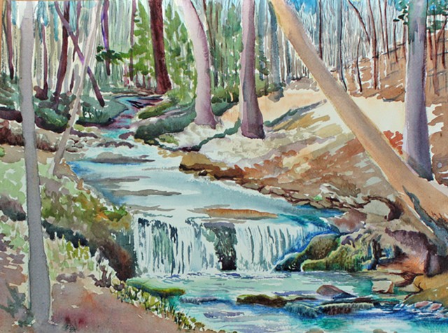 Late Winter, Early Spring up the Northwest Ridge, Shoal Creek Park, 2020 watercolor painting by Amy Feger