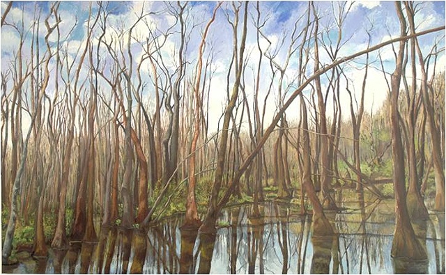 Panorama At Ebenezer Swamp