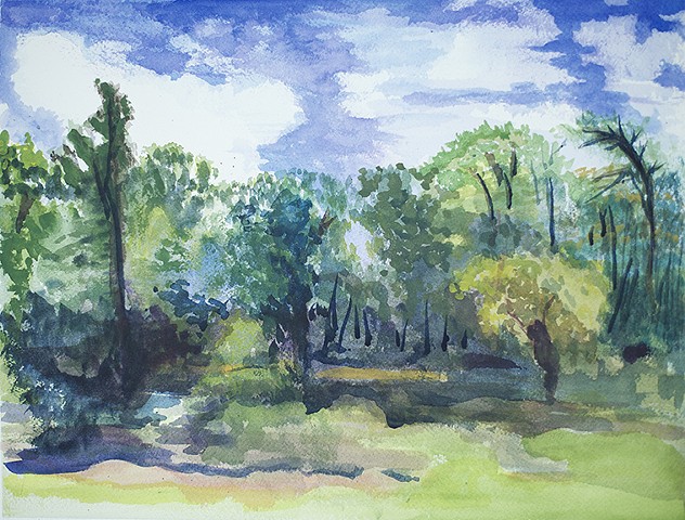 Mahler Wooded Wetlands, Summer 2015 watercolor painting by Amy Feger