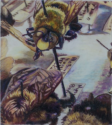 Art & Zoology, Bee Specimens 2020 color pencil on mylar drawing by artist Amy Feger