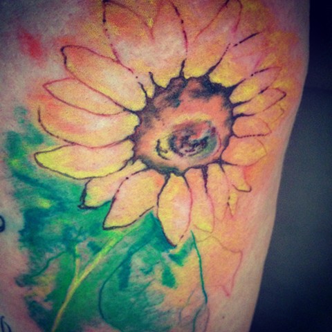 Sunflower