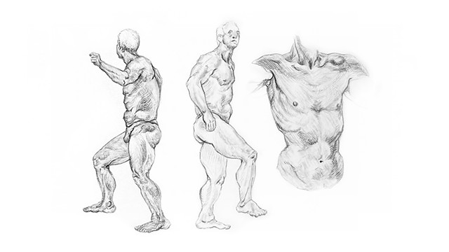 Male Anatomy Session