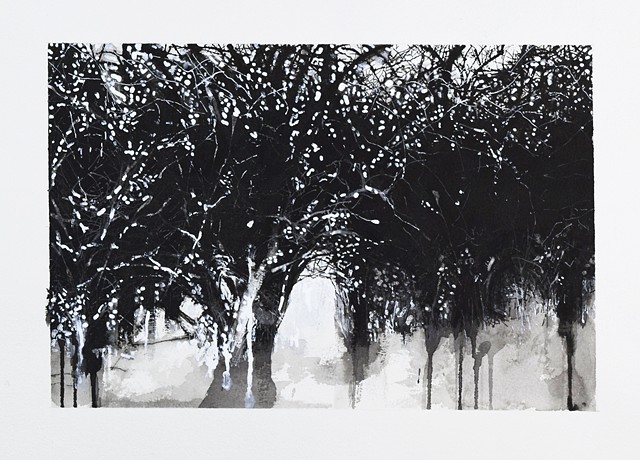  Art Trees Wood Ink Drawing by Ian Crawley