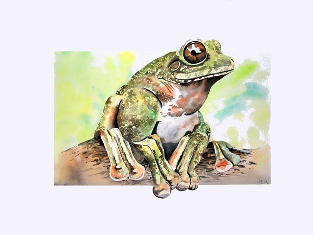 painting of a Frog by Corbett Sparks