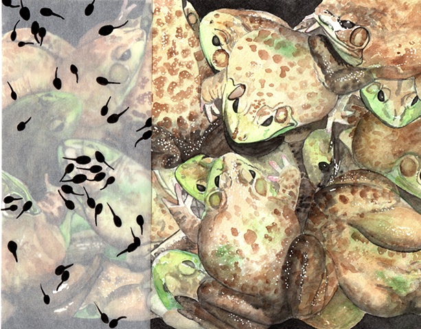 tadpoles and frogs painting