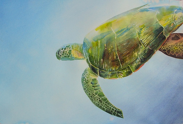 sea turtle painting by Corbett Sparks