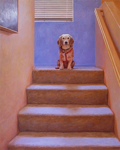 Interior stairway, dog sitting on landing, looking at viewer, yellow, orange, tan, blue.