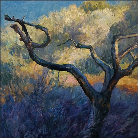 oil_painting, realist, landscape, painterly, impressionist, trees, olive_trees