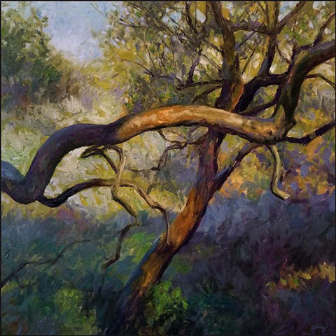 oil_painting, realist, landscape, painterly, impressionist, trees, olive_trees